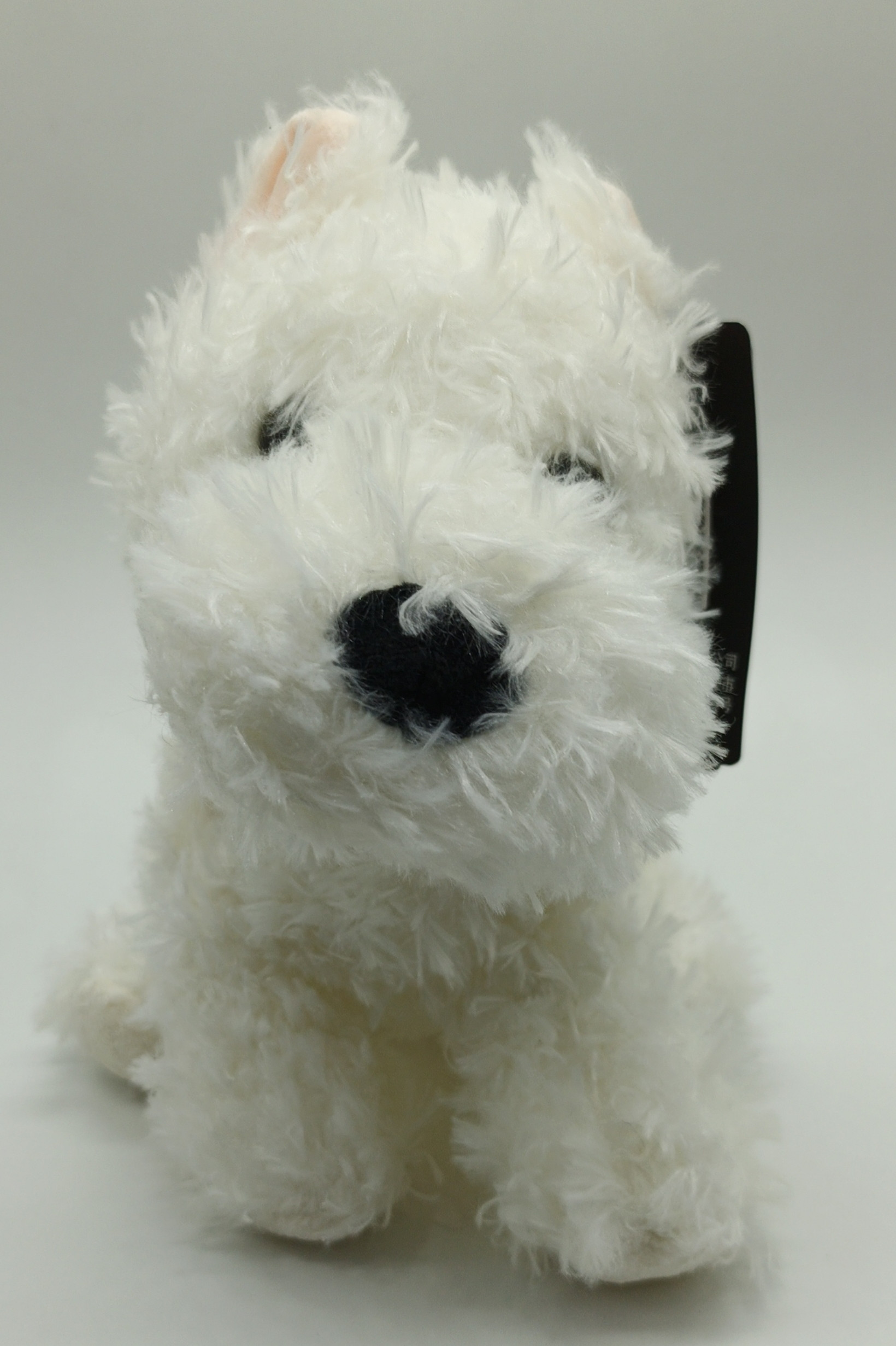 IMG_20251226_164209_618 Собачка белая — изображение 1