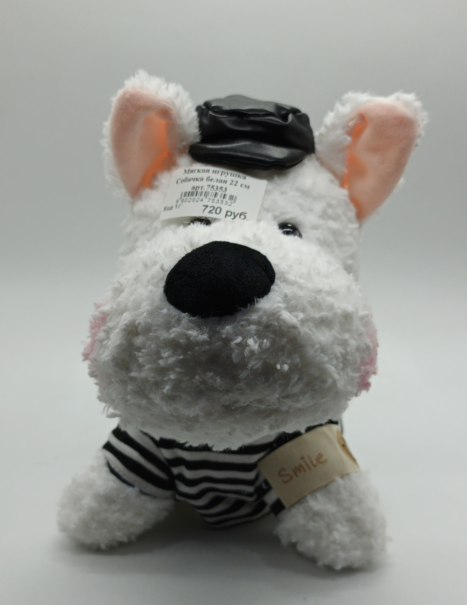 IMG_20251226_165138_810 Собачка белая — изображение 1